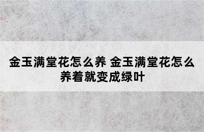 金玉满堂花怎么养 金玉满堂花怎么养着就变成绿叶